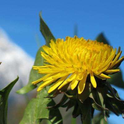 bob体育下载地址