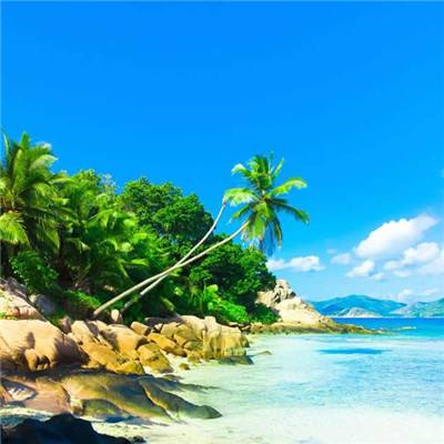 狗万manbet手机app下载