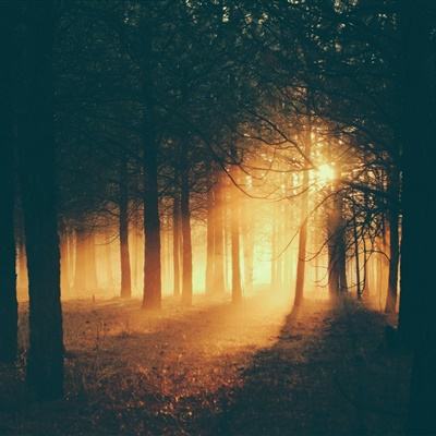 金星棋牌手机app下载