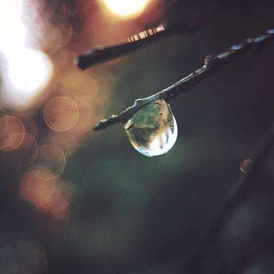 ManBetX客户端登录app下载